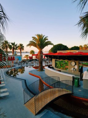 Havuz Ağacı Gökyüzü Denizi