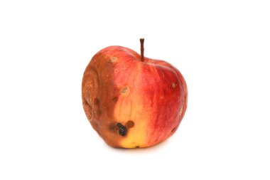 Red rotten apple. Natural color and texture clipart