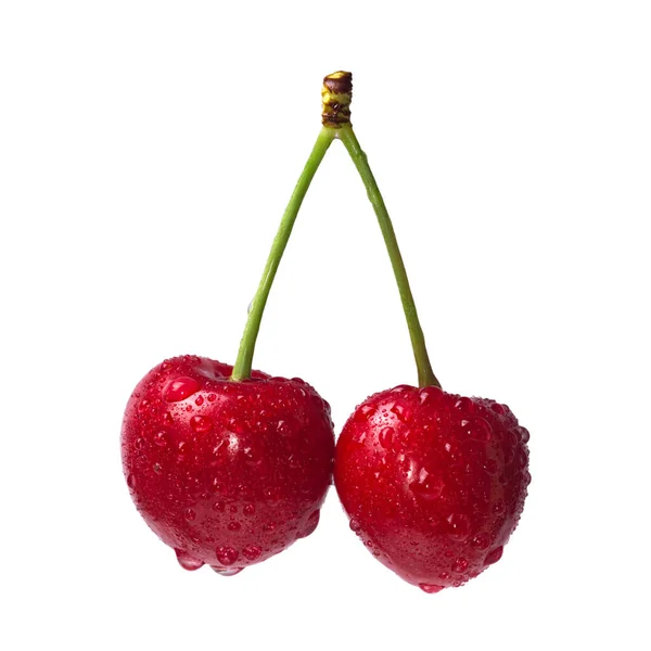 Cereza Fresca Madura Con Gotas Agua Aisladas Sobre Fondo Blanco — Foto de Stock