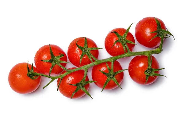 Rama Tomate Cóctel Aislada Sobre Fondo Blanco — Foto de Stock