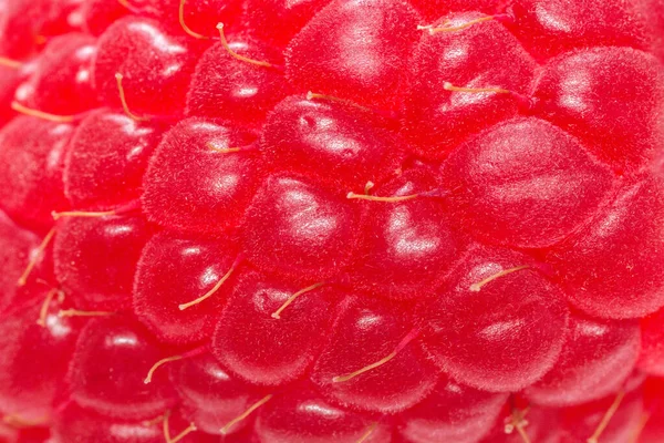 Texture Fresh Ripe Raspberry Berry Closeup — Stock Photo, Image