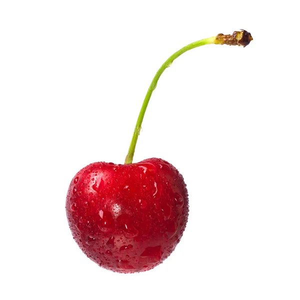Cherry Segar Matang Dengan Tetes Air Terisolasi Pada Latar Belakang — Stok Foto