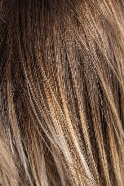 Färgat hår, ljusbrunt hår, smältande färg. konsistens, kvinnlig frisyr skönhetssalong — Stockfoto
