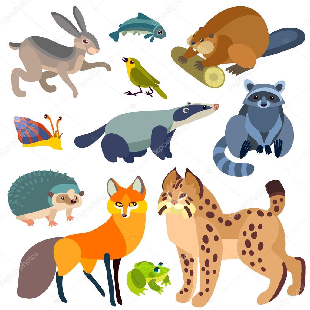 Cartoon forest animals set