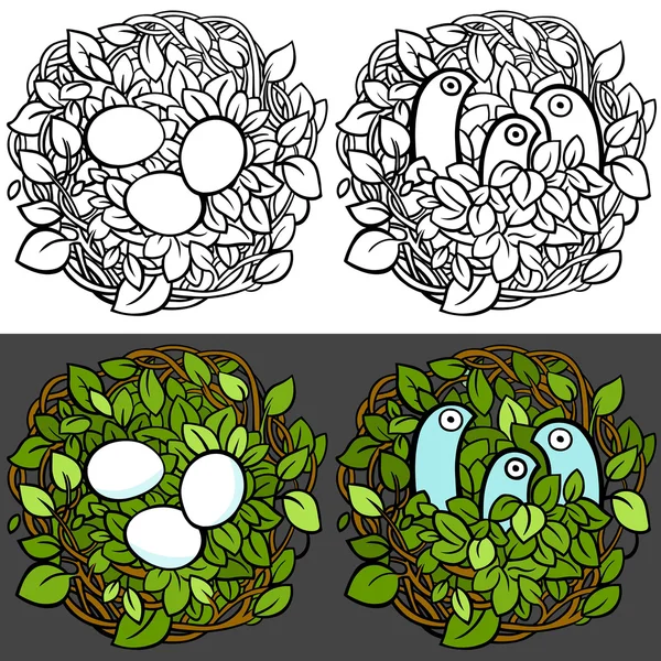 Kuşlar yuvaya. Yuvadaki yumurta