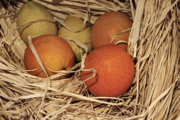 Pomeranče a citrony v seně — Stock fotografie