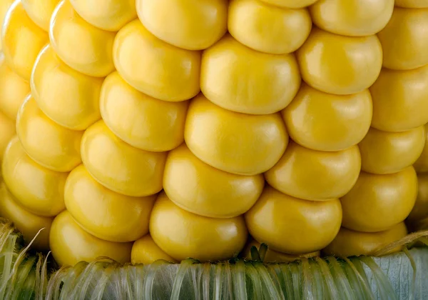 Peeled Ripe Corn — Stock Photo, Image