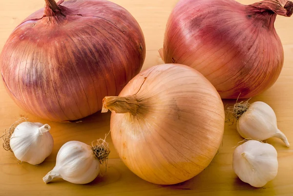 Onion Family — Stock Photo, Image