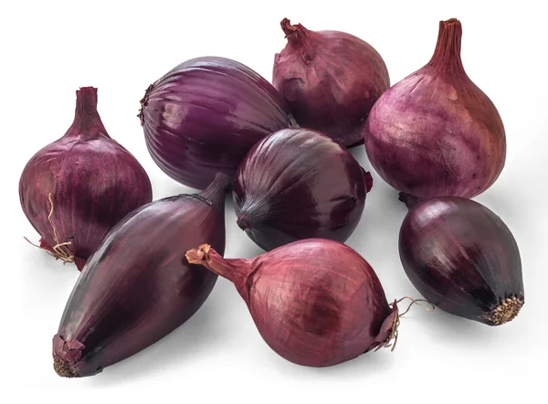 Spanish onion — Stock Photo, Image