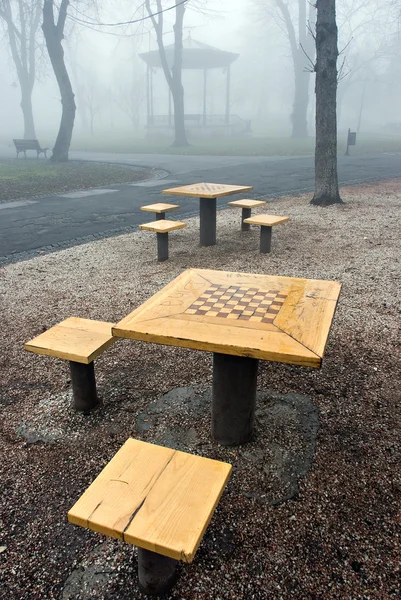 Chess in the fog — Stock Photo, Image