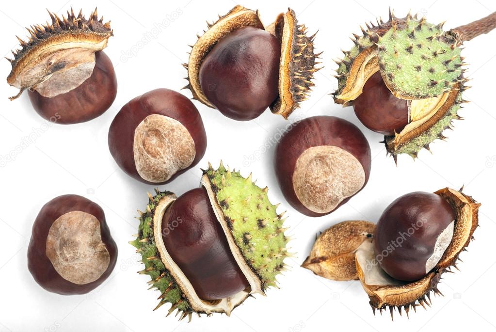 Eight Chestnuts