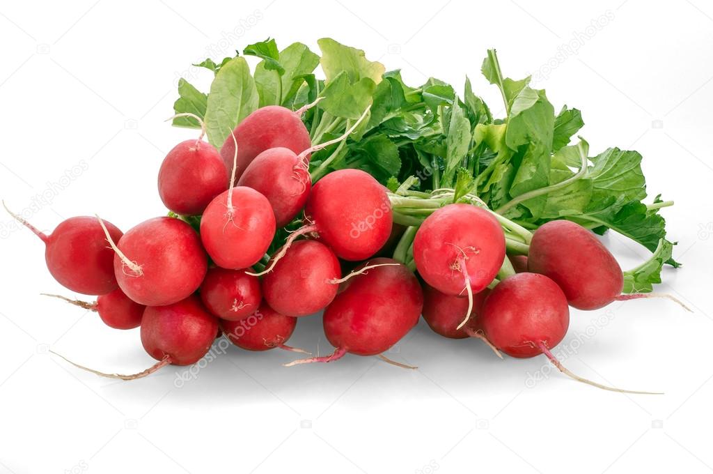 Bunch of fresh red radishes