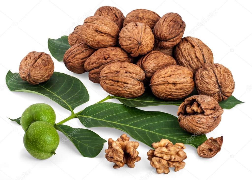 Group of walnuts with leaves and branch of green walnut isolated on white background