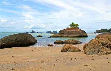 Yalnız ağaç deniz kaya