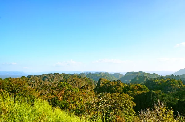 Bosque de piedra caliza en Laos — Foto de Stock