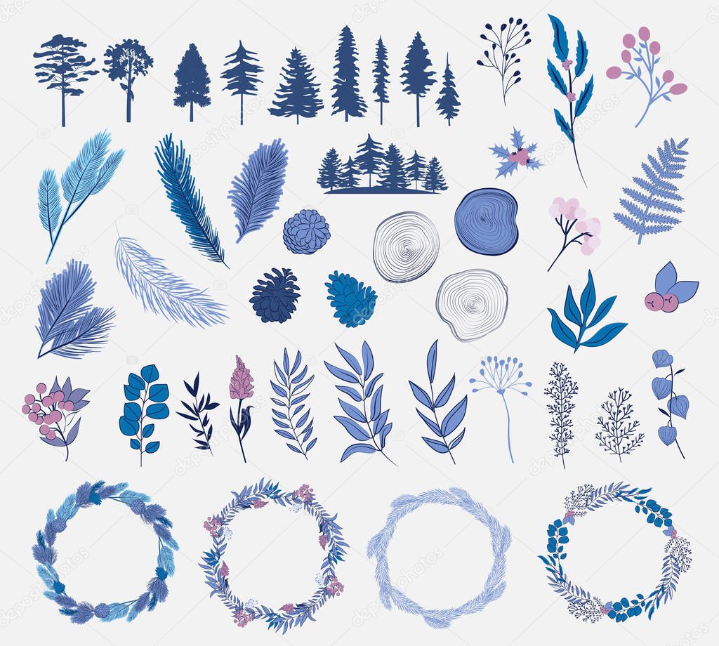 Winter plants collection. Tree, winter flower, wreath, branch, twig, cone. Editable vector illustration.