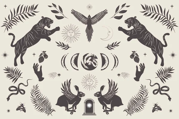 Affiche Illustrée Avec Animaux Sauvages Créature Mythologique Élément Végétal Astrologique — Image vectorielle
