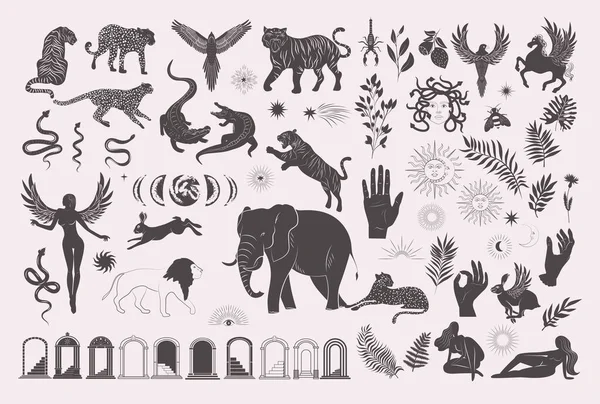 Colección Animales Salvajes Míticos Criaturas Plantas Elementos Arquitectónicos Arco Siluetas — Vector de stock