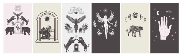 Collection Histoires Modèle Conception Avec Astrologie Éléments Mystiques Illustration Vectorielle — Image vectorielle