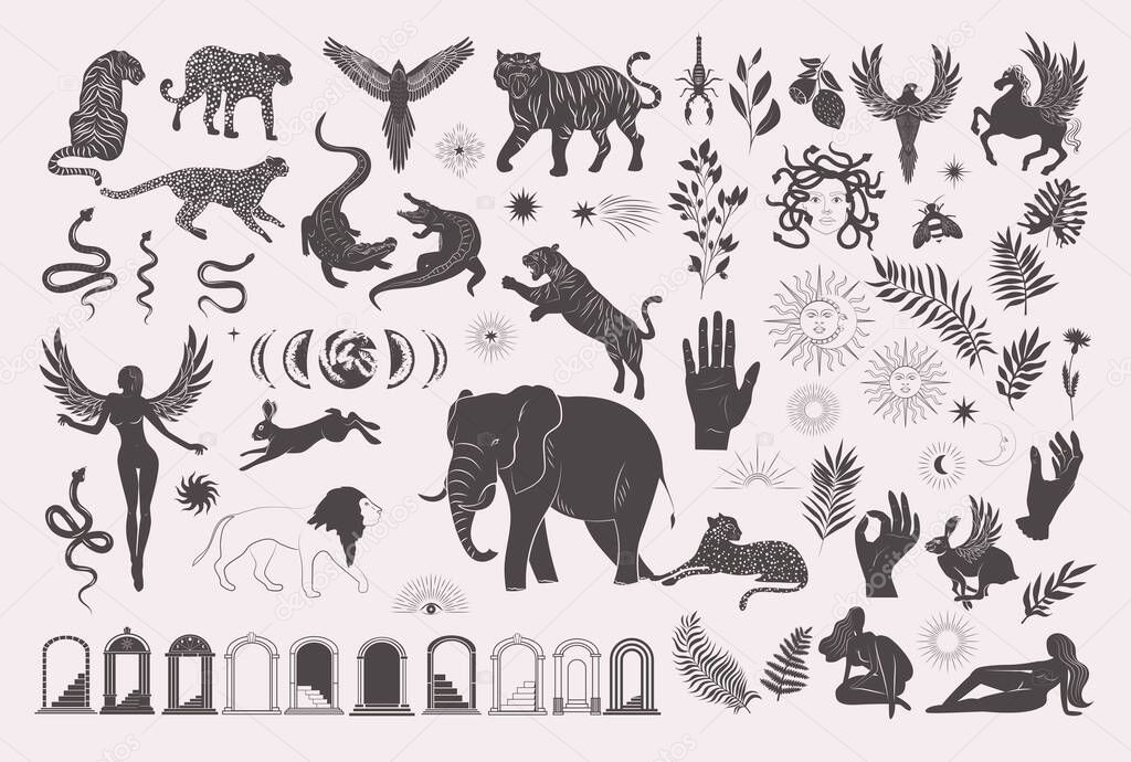 Collection of wild and mythical animals and creature, plants, architectural elements, arch, woman silhouettes. Minimalistic objects. Editable Vector Illustration.