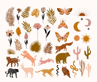 Modern Sanatlar Koleksiyonu soyut bitkiler, hayvanlar, çiçekler ve böcekler. Estetik Modern Sanat, Boho Dekor, Minimalist Sanat. Düzenlenebilir Vektör illüzyonu.