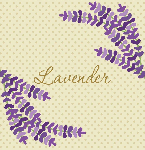 Lavender card — Stock Vector