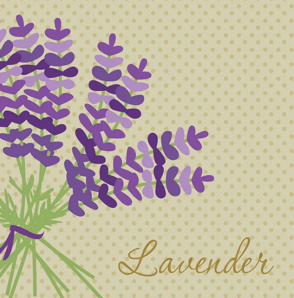 Cartão de lavanda — Vetor de Stock