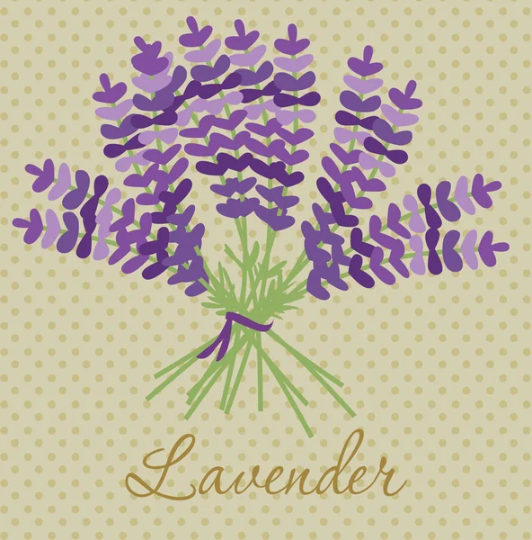 Tarjeta lavanda — Vector de stock