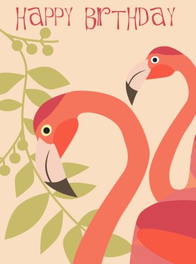 Doğum günün kutlu olsun.