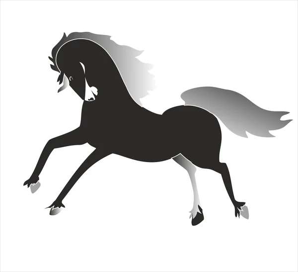 Black horse — Stock Vector