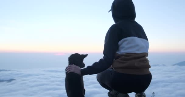 Niña sentada con el perro en el prado, montaña durante un soleado atardecer de verano — Vídeo de stock