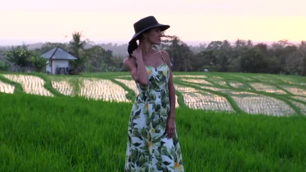 Genç bir kadın pirinç tarlalarında yürüyor. Bali.Rustik Ubud köyü dışında.. — Stok video