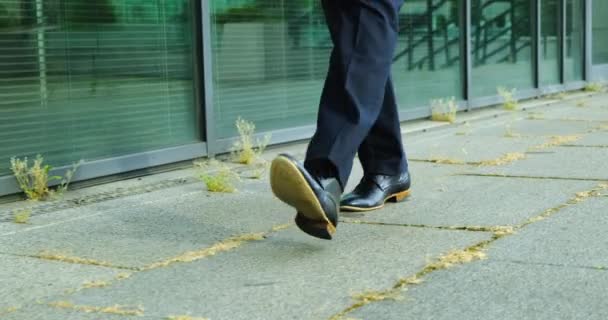 Mans Pant Pernas e Sapatos. Empresário a descer a rua. um homem caminha — Vídeo de Stock