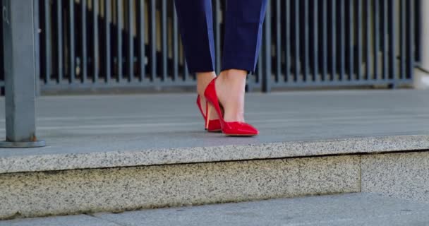 Femme d'affaires Belle Charme Sourire et Parler au Téléphone Rouge Chaussures Lèvres — Video