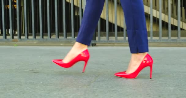 Mulher se preparando para a festa. Red clássico Womens calcanhares fornecimento de sapatos — Vídeo de Stock