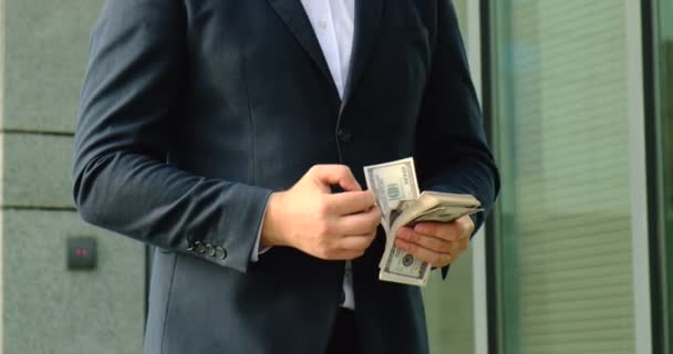 Businessman Account Money In Hands. Counting Money. Millionaire with Banknotes — Stock Video