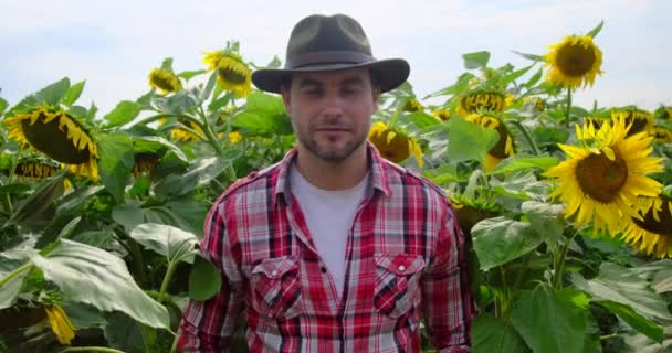 美しいひまわり畑の真ん中でひまわりを調べる男の農家. — ストック動画