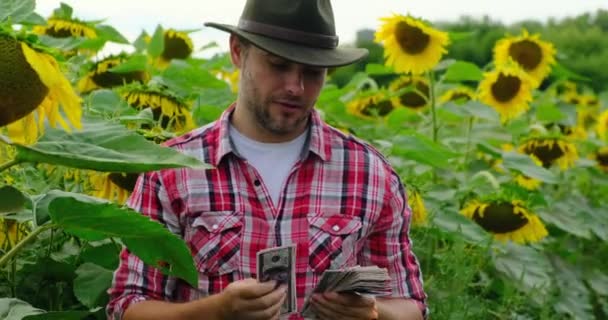 Happy Young farmer számolás és bemutató pénzt napraforgó mező USA — Stock videók