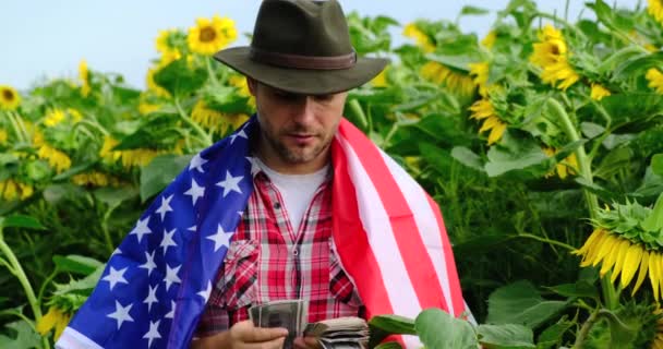 Αμερικανός αγρότης καταμέτρηση και δείχνει τα χρήματα στο πεδίο ηλιοτρόπιου ΗΠΑ. ο αντίχειρας — Αρχείο Βίντεο
