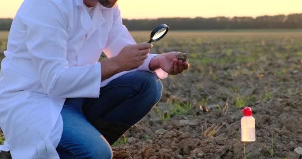 An agronomist examines the soil through a magnifying glass Agriculture, ecology — Stock Video