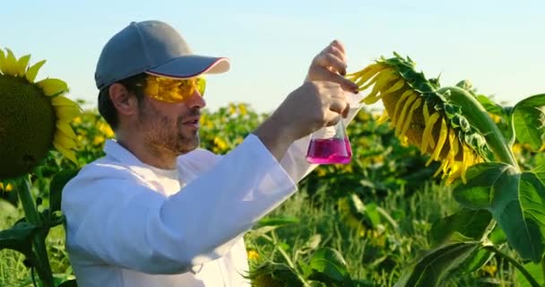 Laboratóriumi asszisztens kesztyűt és fehér köpenyt visel terepen. agronómus — Stock videók