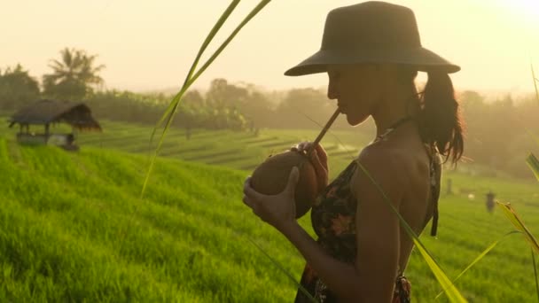 Ung kvinna med kokos i svart klänning promenader i risfält Bali — Stockvideo
