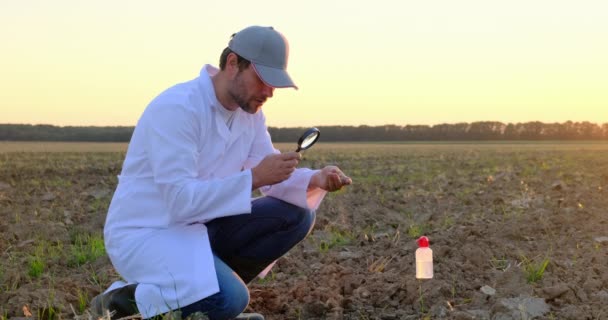 Egy agronómus vizsgálja a talajt egy nagyító segítségével Mezőgazdaság, ökológia — Stock videók