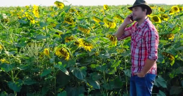 Földműves telefonnal a mezőnyben.Modern mezőgazdasági technológia és gépkoncepció — Stock videók