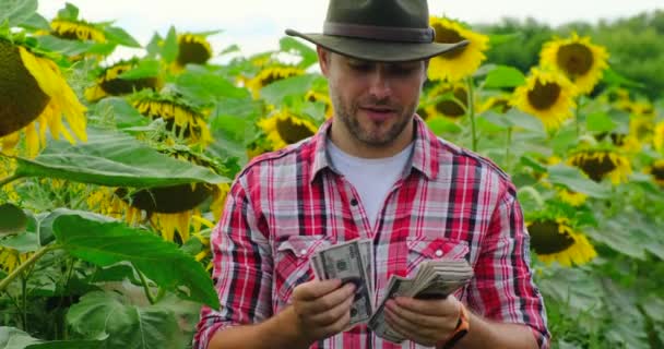 Az első nézet az érett mezőgazdasági termelő áll gyümölcsösben a napsütésben és számít pénzt USA — Stock videók
