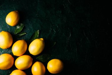 Koyu yeşil arkaplanda sitruslar