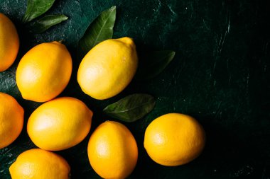 Koyu yeşil arkaplanda sitruslar