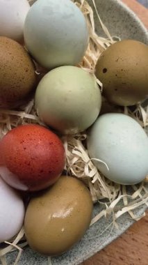 Taze renkte tavuk yumurtaları yumurta sarısıyla kaplanmış.