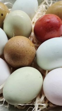 Taze renkte tavuk yumurtaları yumurta sarısıyla kaplanmış.