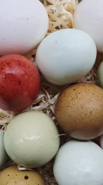 Taze renkte tavuk yumurtaları yumurta sarısıyla kaplanmış.